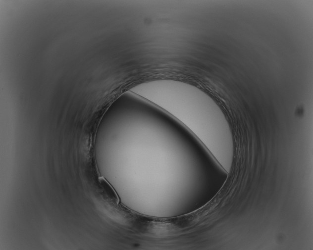 X0000091730605200708241046