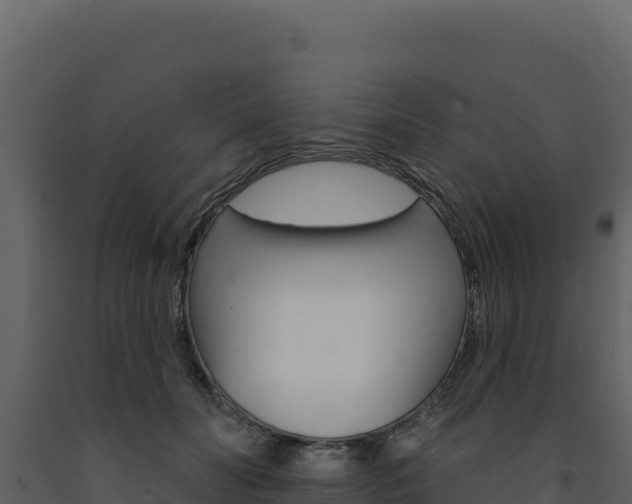 X0000091730606200708241046