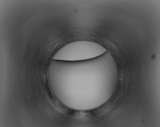 X0000091730607200708241046