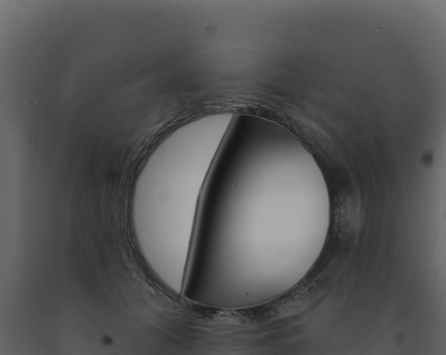 X0000091730608200708241046