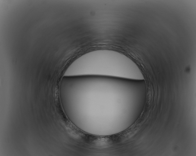 X0000091730609200708241045