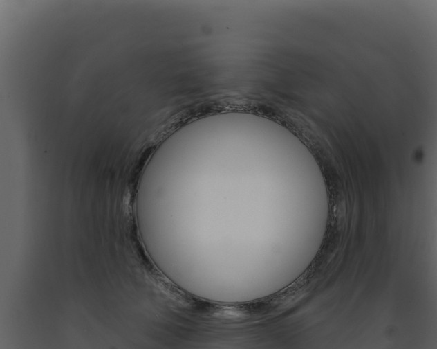 X0000091730610200708241045