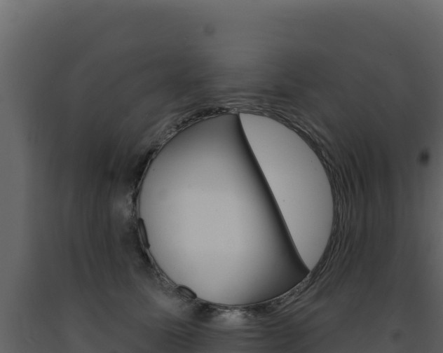 X0000091730611200708241045