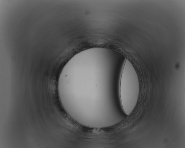 X0000091730612200708241045
