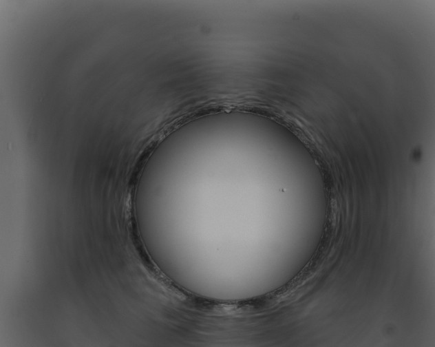 X0000091730613200708241045