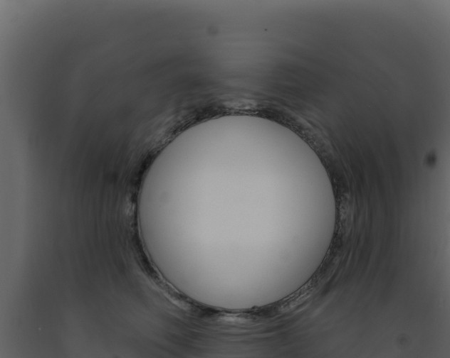 X0000091730614200708241045