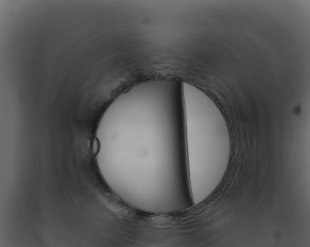 X0000091730615200708241045