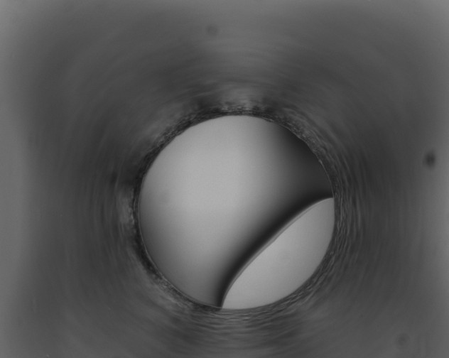 X0000091730616200708241045