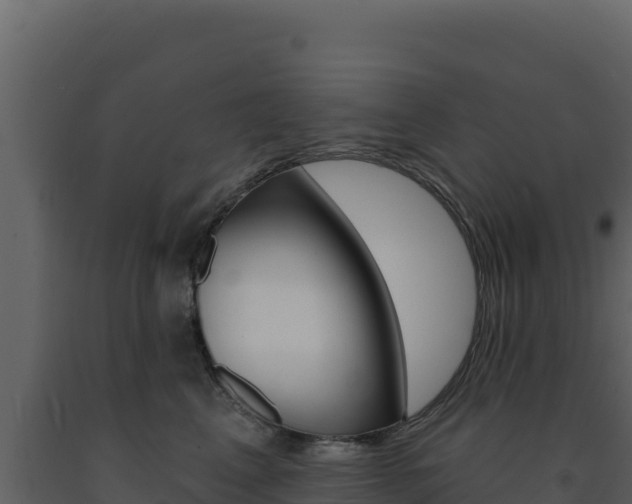 X0000091730617200708241045