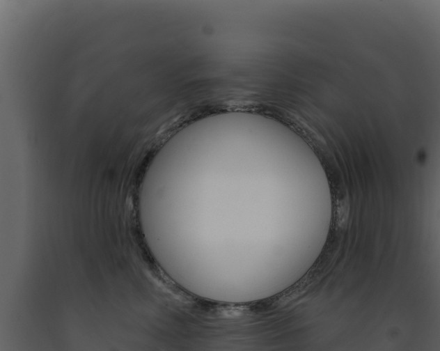 X0000091730618200708241045