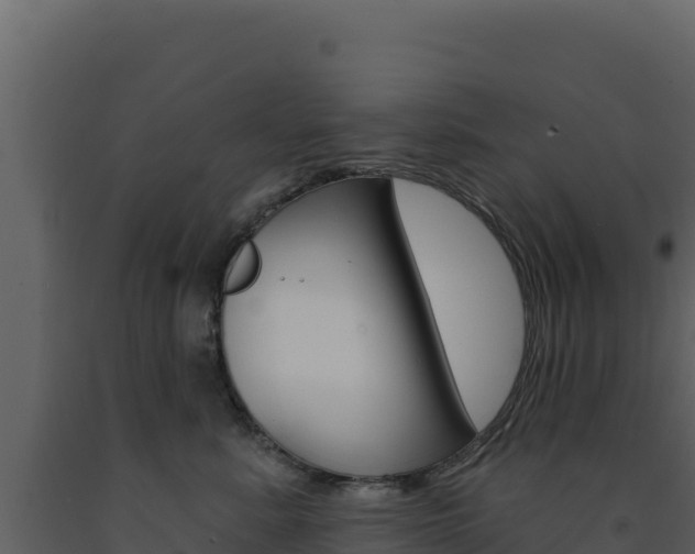 X0000091730619200708241045