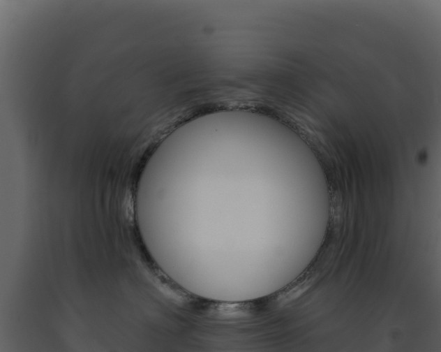 X0000091730622200708241045