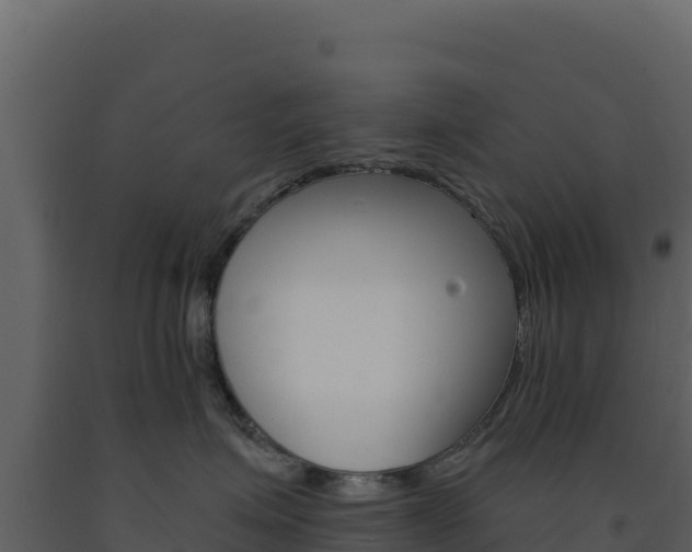 X0000091730623200708241045