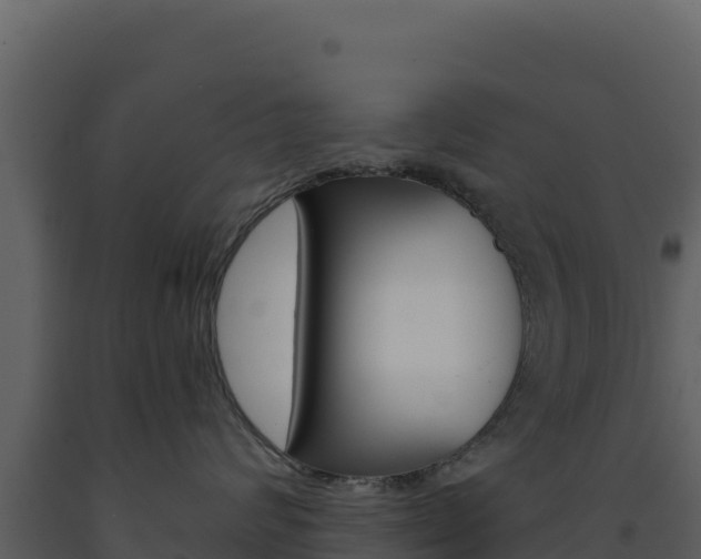 X0000091730624200708241045