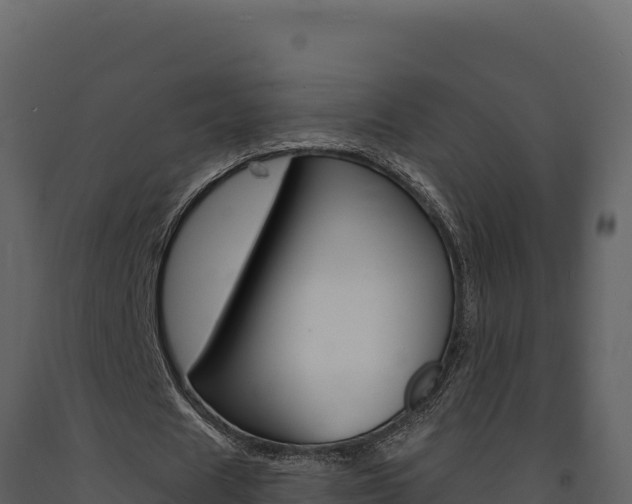 X0000091730625200708241044
