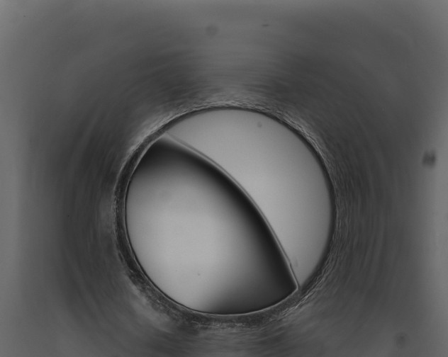 X0000091730626200708241044