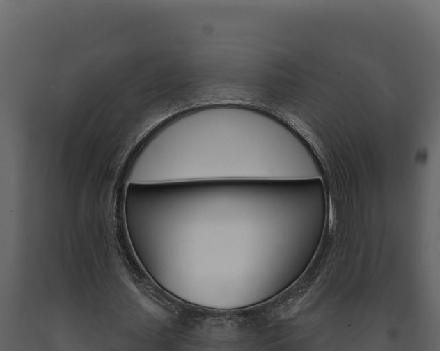 X0000091730627200708241044