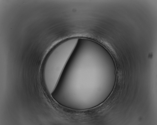X0000091730628200708241044