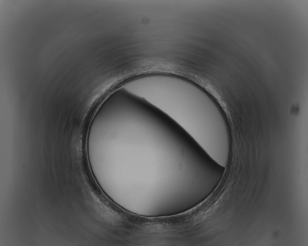 X0000091730629200708241045