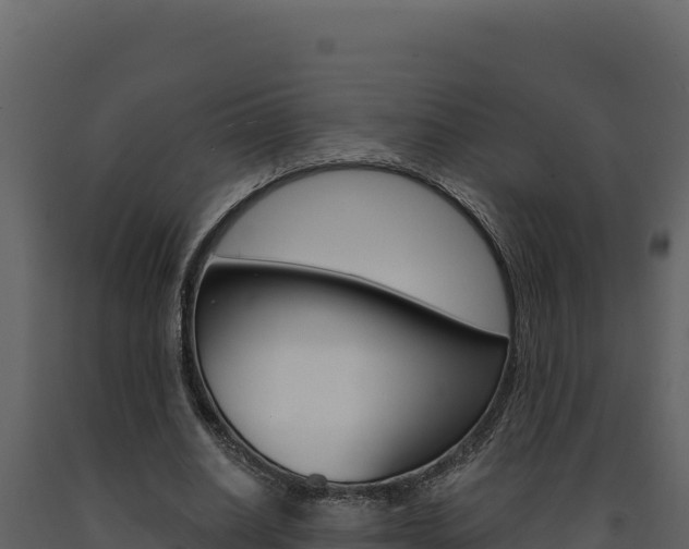 X0000091730630200708241045
