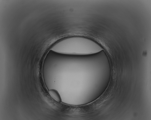 X0000091730631200708241045
