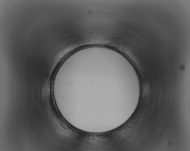 X0000091730632200708241045