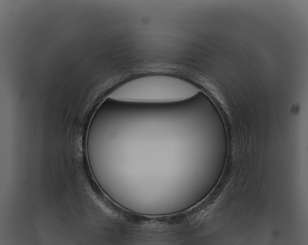 X0000091730633200708241045