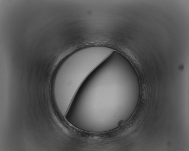 X0000091730634200708241045