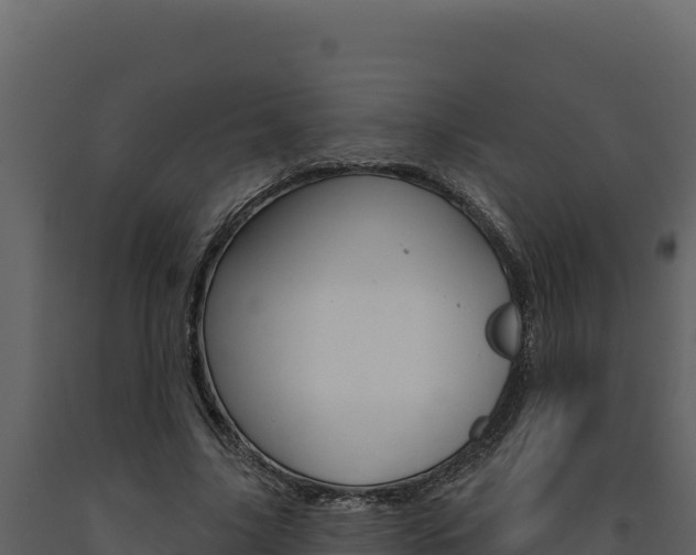 X0000091730635200708241045