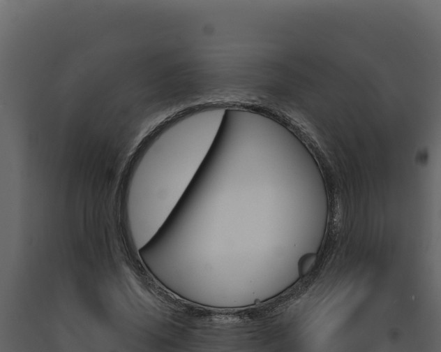 X0000091730636200708241045