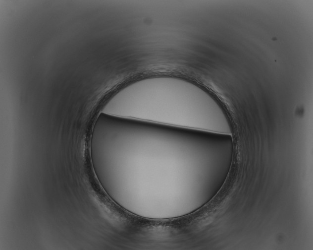 X0000091730637200708241045