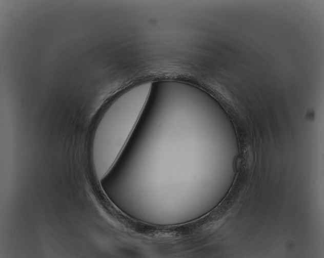 X0000091730638200708241045
