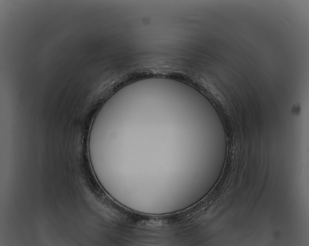 X0000091730639200708241045