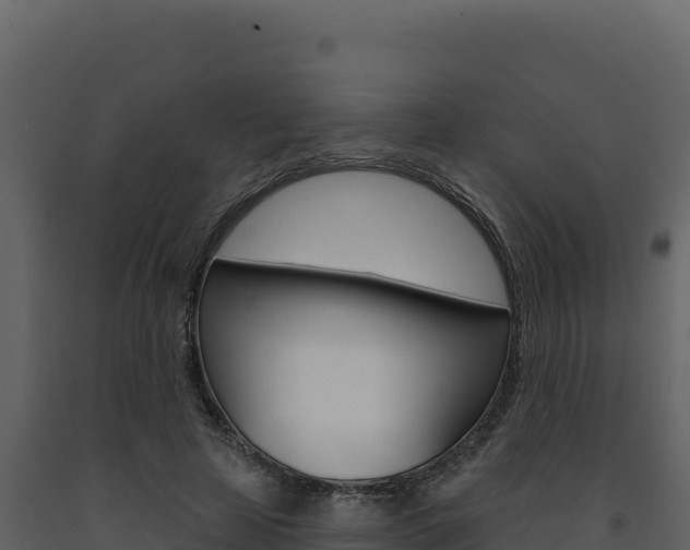 X0000091730641200708241045