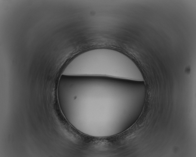 X0000091730642200708241045
