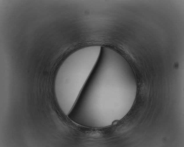 X0000091730643200708241045