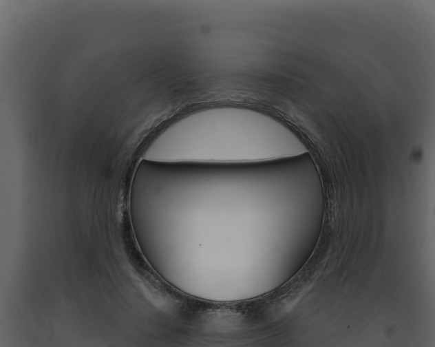 X0000091730644200708241045