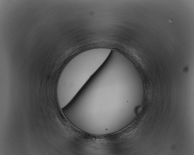 X0000091730645200708241045
