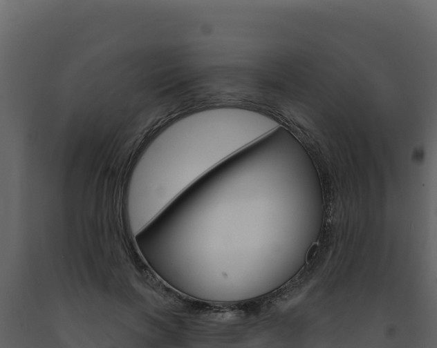 X0000091730646200708241045