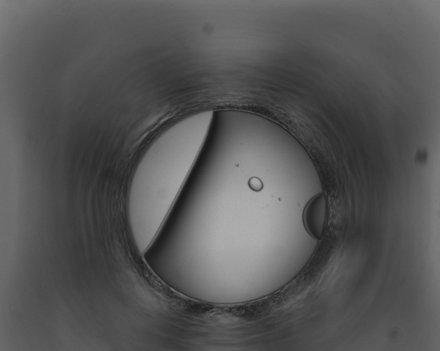 X0000091730648200708241045