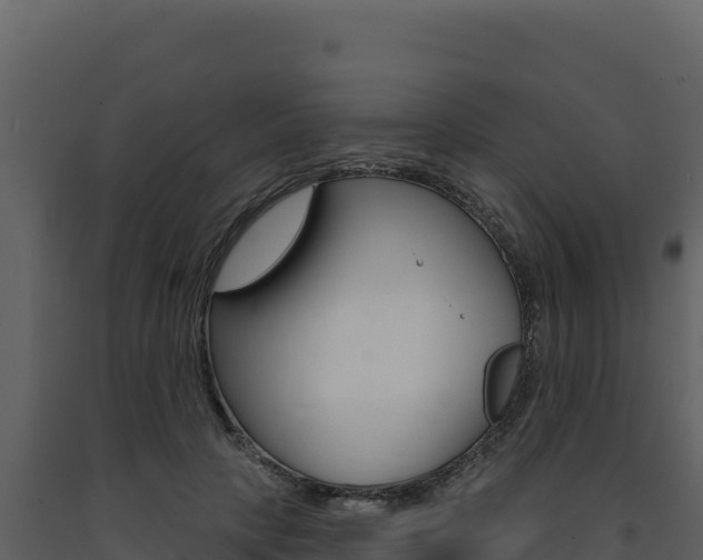 X0000091730649200708241045