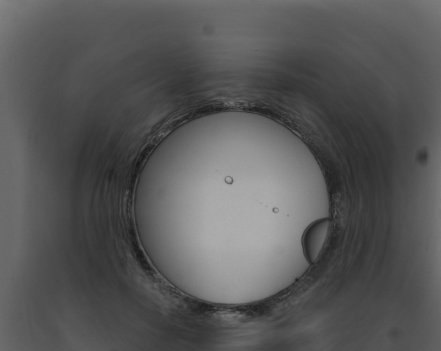 X0000091730650200708241045