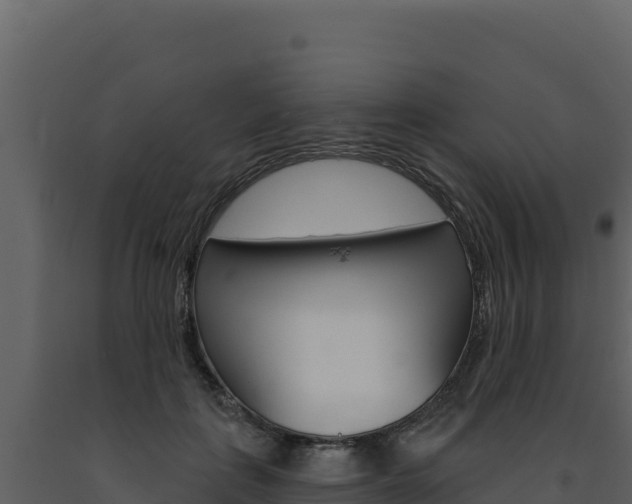 X0000091730651200708241045