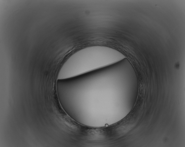 X0000091730652200708241045