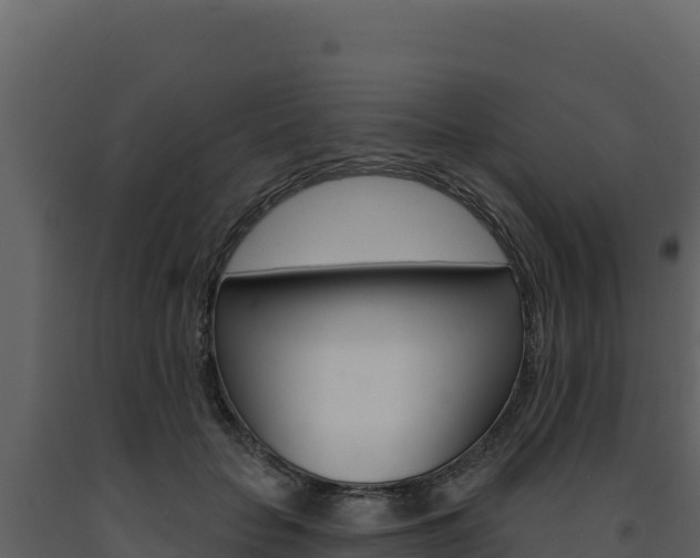 X0000091730653200708241045