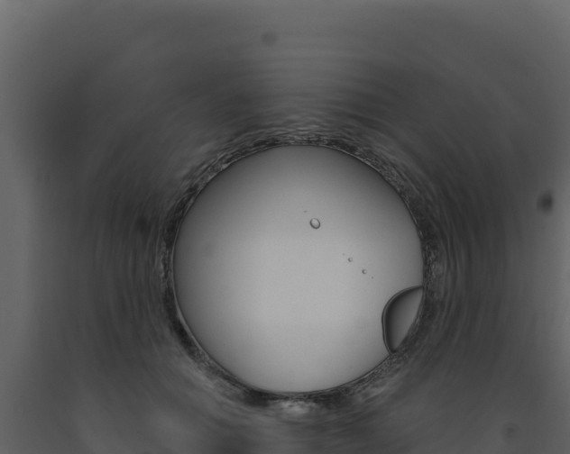 X0000091730654200708241045