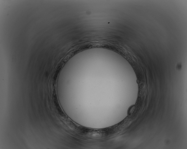 X0000091730655200708241045
