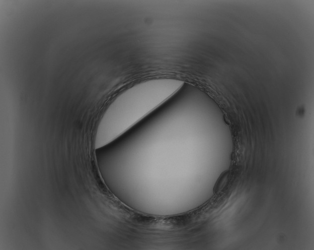 X0000091730656200708241045