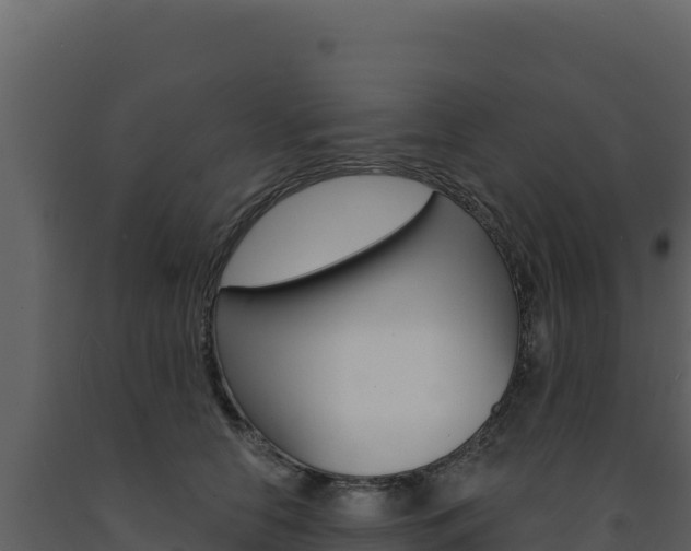 X0000091730658200708241045