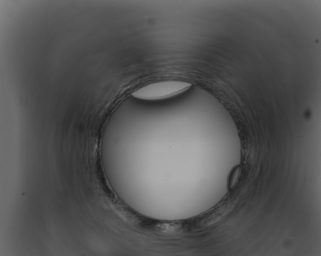 X0000091730660200708241045